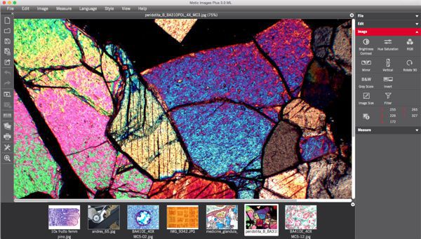 Motic-Images-Plus Motic-Images-Plus